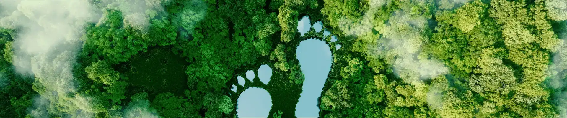 lake with footprints 